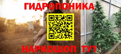 герыч Новодвинск