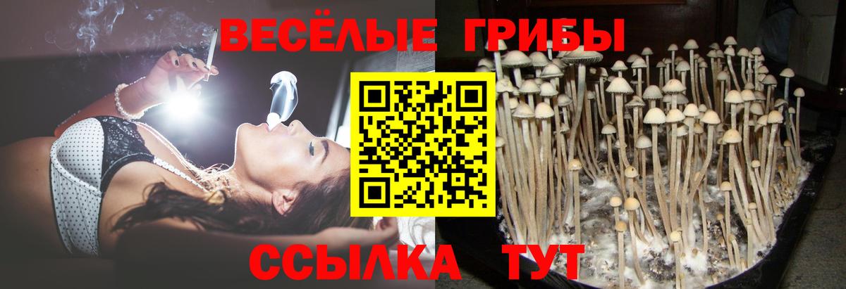 Псилоцибиновые грибы мицелий  Вход с VPN  Славянск-на-Кубани 